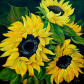 Der_Sonne_entgegen_-_Sieglinde_Putze
