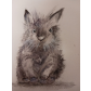 Hase_-_Regina_Farbe