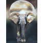 01_Elefant_mit_Mond