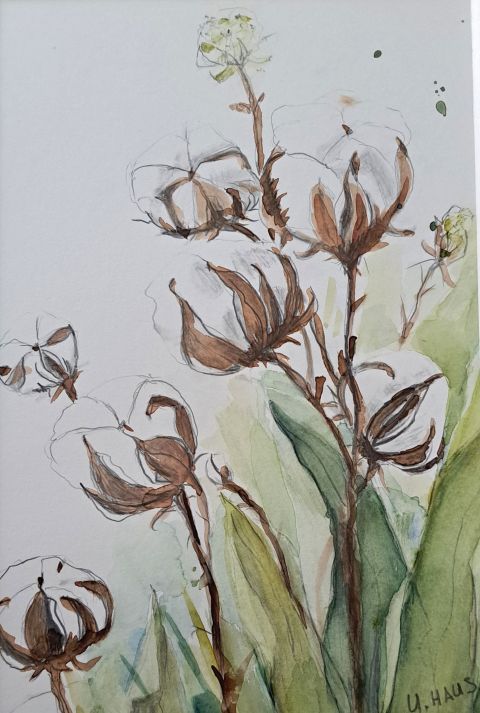 2026_03_Ulrike_Haus_480